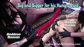 Alien Ass Destroyed: 18-Inch Giant Dildos Deep Anal Stretching by Two Dominatrixes