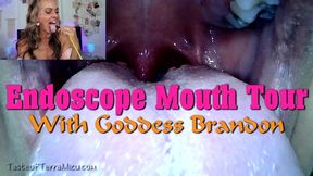 Endoscope Mouth Tour - Goddess Brandon - HD 720 WMV