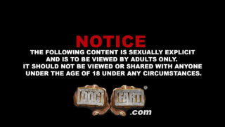 Межрасовое минет, верховая езда, кончить в рот, черный, секс втроем – татуированный Брайан Бондс, Фейм и Джигз Кастело, BBC трахают в задницу