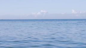 ”Vicky Chase & Teanna Trump's Orgasmic Tape from VIXEN”