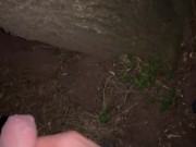 Desperate morning pee I had to find a tree to pee on