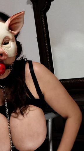 Milking Piggys Huge Tits
