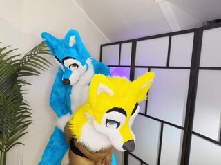 FURRIES IN HEAT MATING , CUM INSIDE