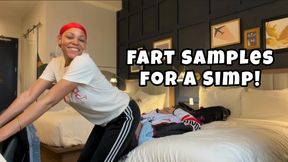 Fart Samples for a Simp