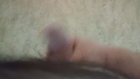 Cumming Floor