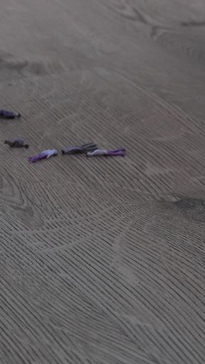 Bella the Giant Returns