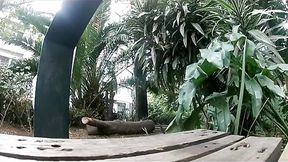 I filmed me pissing on the street