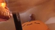 Halloween Jon Arteen pumps up balloons and ends up pumping his cock until he cums Ahegao