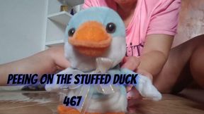 Peeing on the stuffed duck 467