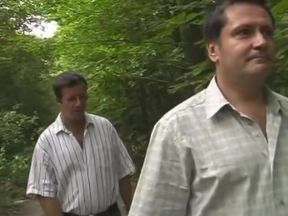 Dream Bears in the Wild