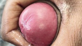 Ultimate Hot Desi Hunk Solo Action - Premium Faceless Amateur POV Worldwide Release