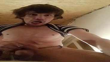 Gay gajus
