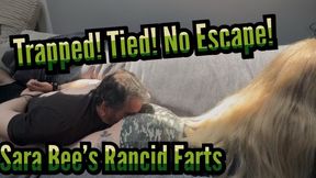 Tied and Shoved into Sara's Farting Ass - Sara Bee