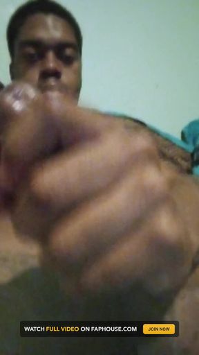 Big Brown Coco