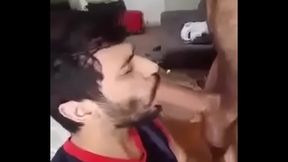 Hardcock Suction – Long Dick Bareback Blowjob Session