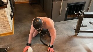 Chastity slave prepared for dildo fucking