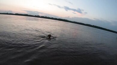 Fishermen ogle Russian exhibitionist flashing on nudist beach