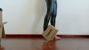 Stilettos Vs Cardboard