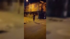 Street slut begs for a rough fuck