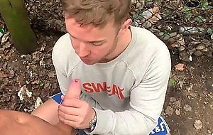 Brits fucking in the park