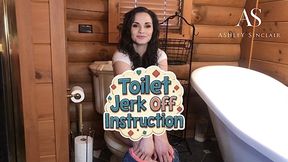 Toilet Jerk Off Instructions mp4