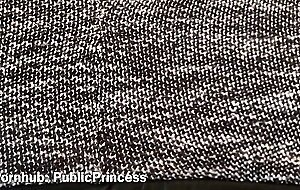 New Orleans City Park- I Had to Cum Again (TS PublicPrincess)