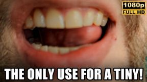 Tinies Are Only Good For One Thing - Vore - 1080p HD - KingMarti - MOV