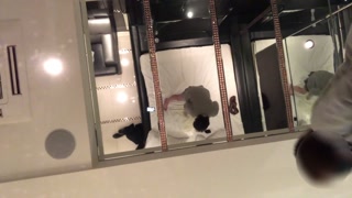 【顔面放尿】M男に大量おしっこ調教するギャル女子〇生　～ぶっかけ飲尿～（合法 legal ）