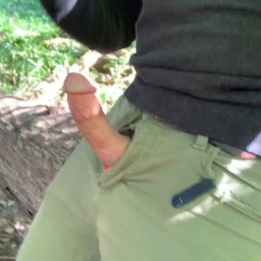 Jerking off and cumming at the public park