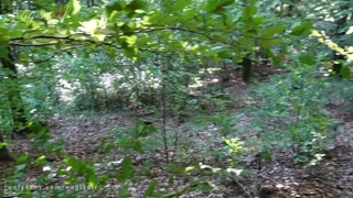 Cute Femboy blowing his BF's cock during a hike - NagisaIf's Adventure Blog #01