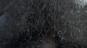 Hairy Pubic a Use Your Faces.