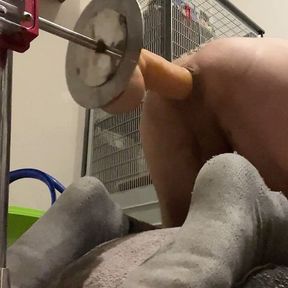 A hard fuckmashine workout for my boypussy after a small break