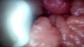 Endoscope Camera Records My Wife's G Spot. Educational Video Close up