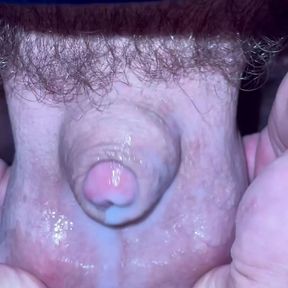 Tiny cock cum party