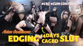 Asian Goddesses Edging 14 days Caged Slut Chastity CBT Orgasm Denial English