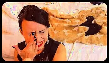 Nylon Fetish: Anal Dildo & Cum Swallowing with Cream uncensored video