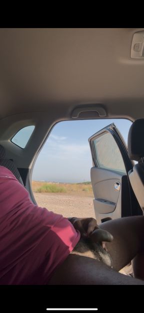 Orly outdoor in the car