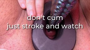 don't cum, just stroke and watch