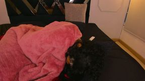 Violetta Midnight Private Show