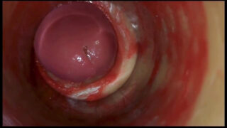 Lähikuva kooste nuorista amatööri-crossdressereista mekoissa, jotka hyväilevät isoja kulleja ennen intensiivisiä anaalicreampie- ja siemensyöksyjä