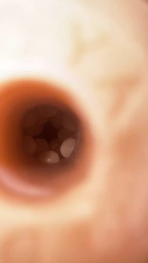 Fleshlight Milking Inside View