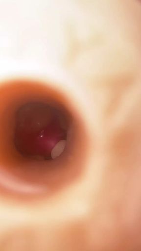 Fleshlight Milking Inside View