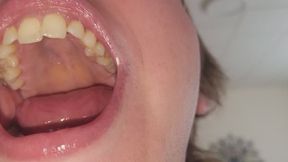 Mouth and Teeth Tour Up Close