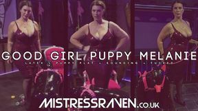 [1109] Good Girl Puppy Melanie