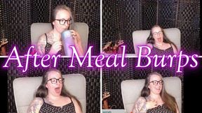 After Meal Burps *wmv*