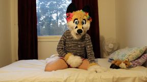 Oliver Pawing. First Murrsuit Video I Have Ever Made