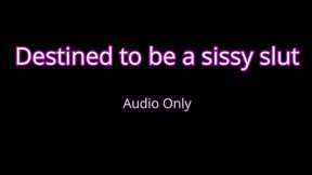 Destined to be sissy slut – Audio Only MP4