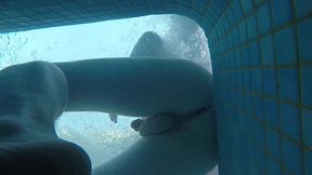 amateur pale skin redhead guy with hot smooth bum caught playing underwater in a public jacuzzi with a twink and then exposing his hairless ass alone - full version