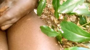Romance in the bush well