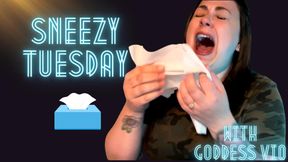 Sneezy Goddess Tuesday!